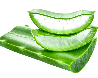 Aloe